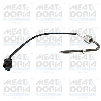 Sensor, exhaust gas temperature